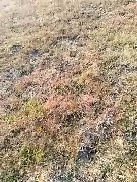 coocon2020 online show from 11.16.25