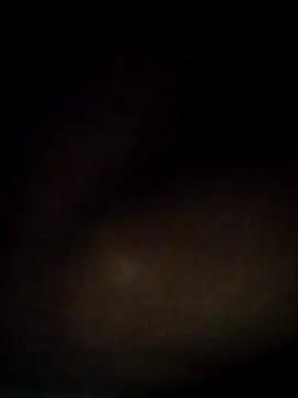 Snapshot of t2pnb chatting on 12.03.25 t2pnb online show from 12.03.25