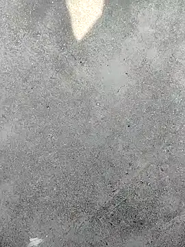 Snapshot of t2pnb chatting on 12.04.25 t2pnb online show from 12.04.25