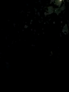 Girls pussy rider online show from 02.27.26