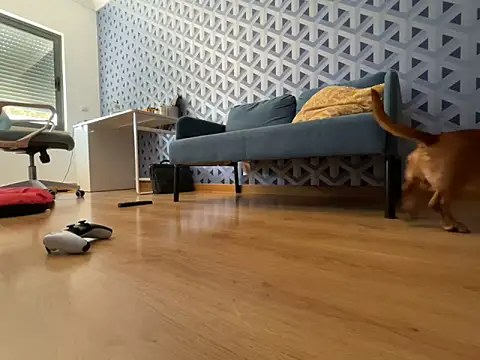 Snapshot of cumman789860 chatting on 10.02.25 cumman789860 online show from 10.02.25