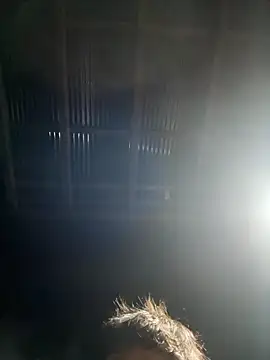 Snapshot of usu0130 chatting on 10.16.25 usu0130 online show from 10.16.25