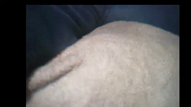 Snapshot of pietje1991 chatting on 12.14.25 pietje1991 online show from 12.14.25