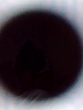 Cumnowd1 online show from 10.19.25