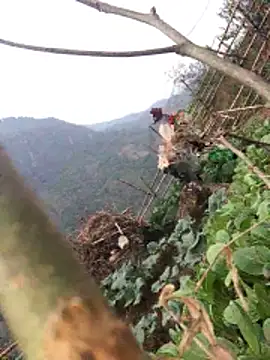 Maymay97 online show from 12.20.25