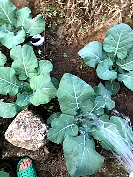 Maymay97 online show from 12.23.25