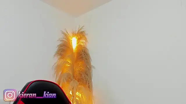 Kieran kian online show from 04.19.26