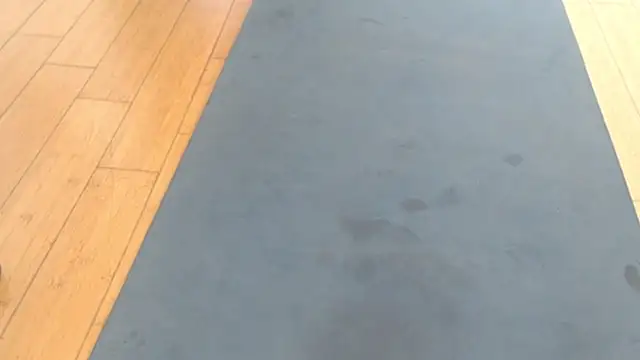 Snapshot of cumtwo2 chatting on 12.04.25 cumtwo2 online show from 12.04.25