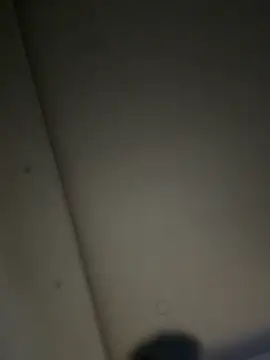 ALANNFERRER online show from 11.22.25