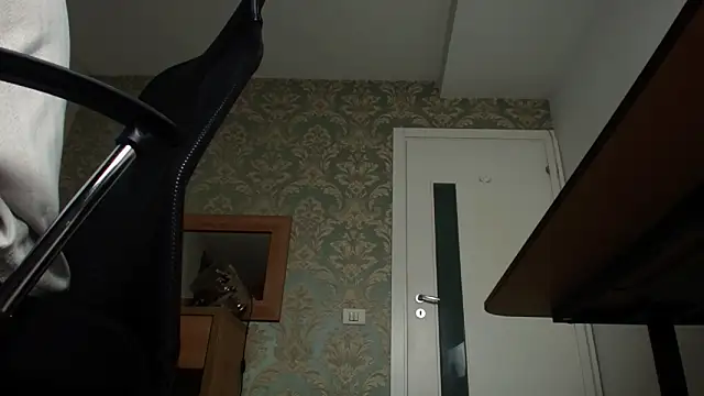 Snapshot of FelixStarkk chatting on 11.07.25 FelixStarkk online show from 11.07.25