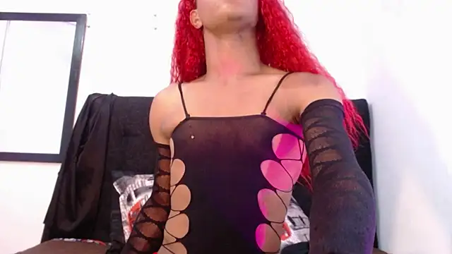 bloom bbc online show from 11.11.25