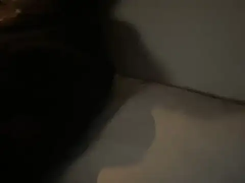 dddasani online show from 12.15.25