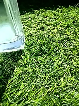 BlackhorseBBC online show from 02.18.26