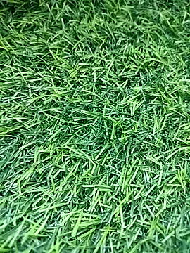 BlackhorseBBC online show from 03.14.26