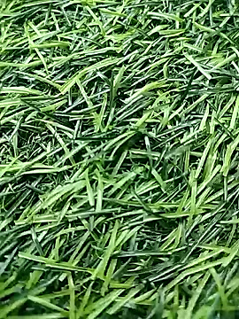 BlackhorseBBC online show from 04.23.26