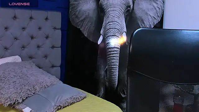 rocoo santos online show from 10.10.25