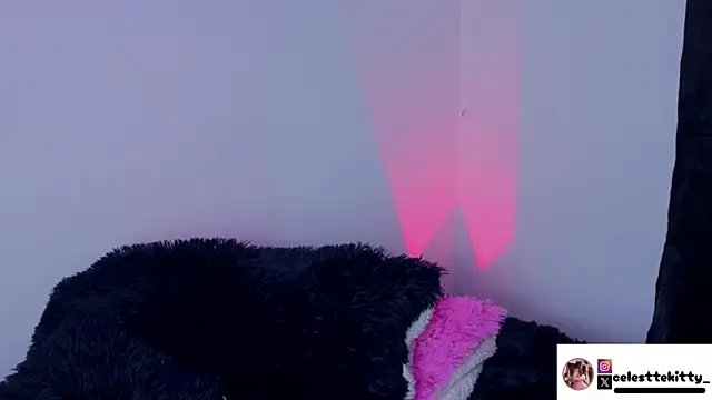 celestte evans 1 online show from 02.08.26