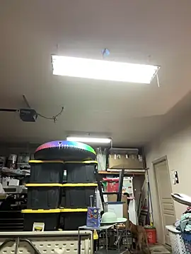 petalsexy online show from 09.25.25