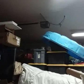 petalsexy online show from 12.20.25