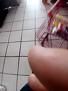 cicinha3657 online show from 02.20.26