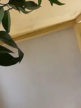 femboyslqueen online show from 12.01.25