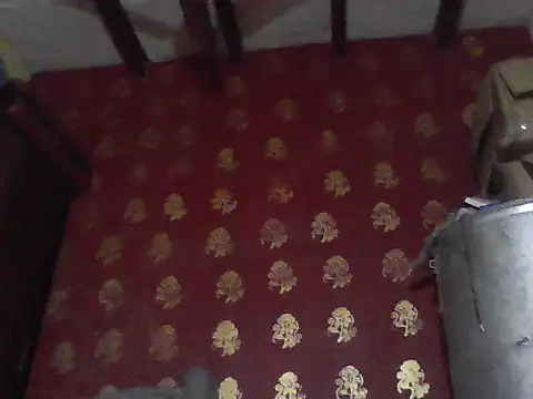 ursdreamperson online show from 02.03.26