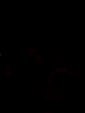 Lujor online show from 04.17.26