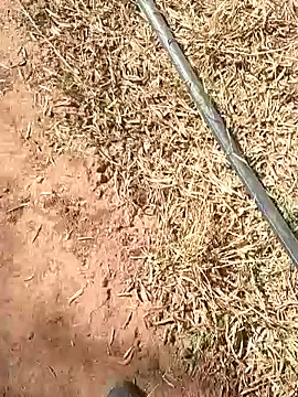 sonotutto online show from 10.13.25