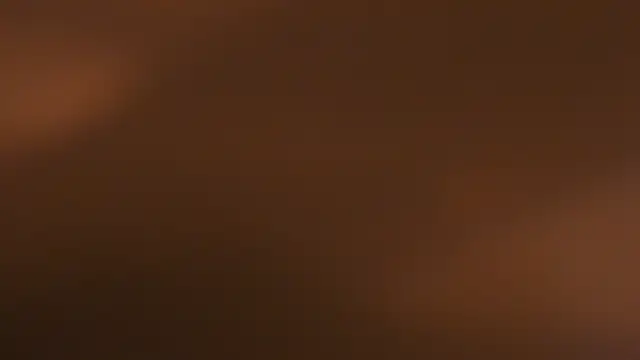 WILD FIREE  online show from 10.12.25