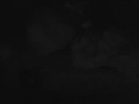 PrzygodaAnalnaaa online show from 10.26.25