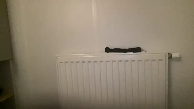 peterpapiNL online show from 01.13.26