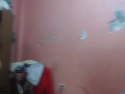 Kyoshi 19 online show from 03.08.26