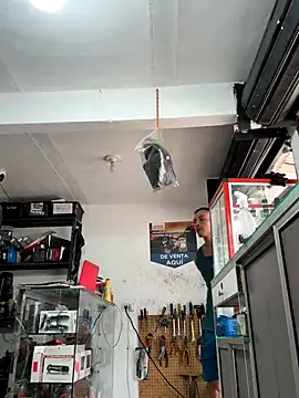 Terra-22cm online show from 10.18.25