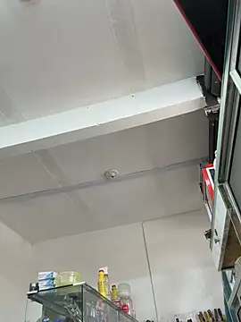 Terra-22cm online show from 04.18.26