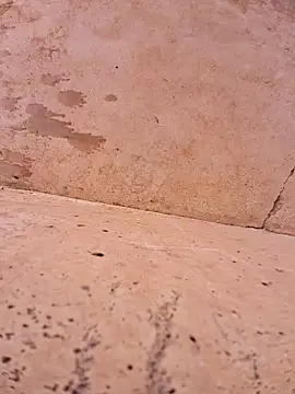 Snapshot of Negodabenga chatting on 11.17.25 Negodabenga online show from 11.17.25