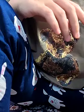 sasud2 online show from 11.03.25