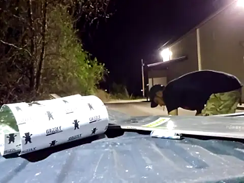 sloppytopkins online show from 04.11.26