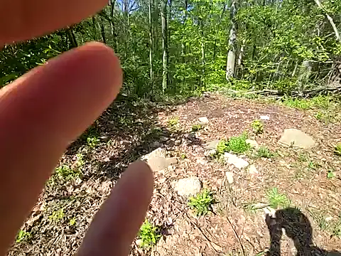 sloppytopkins online show from 04.20.26