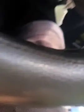 Frank0021 online show from 11.04.25