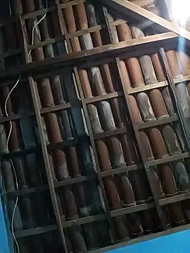 ttonetto online show from 03.24.26