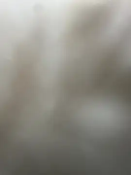  01ruhi online show from 11.29.25