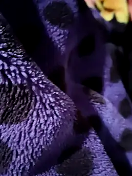 sana-5 online show from 02.23.26