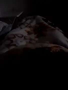 ratoncito 3 online show from 01.12.26