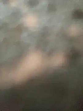 Snapshot of savagescott1 chatting on 11.15.25 savagescott1 online show from 11.15.25