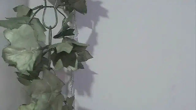 angelainparis28 online show from 11.17.25