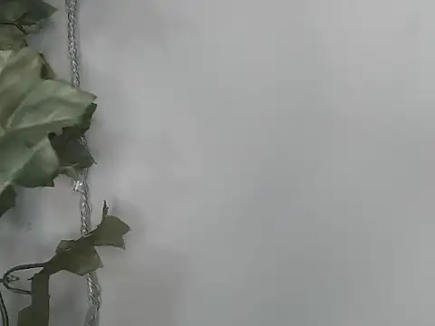 angelainparis28 online show from 11.24.25