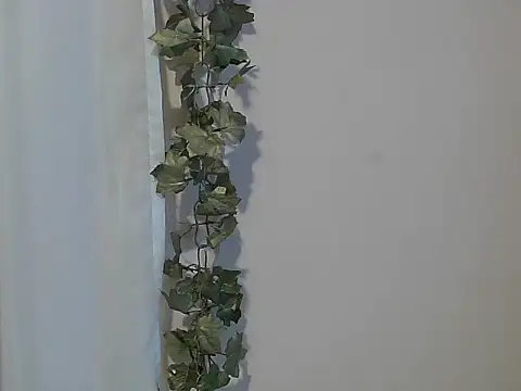 angelainparis28 online show from 11.27.25