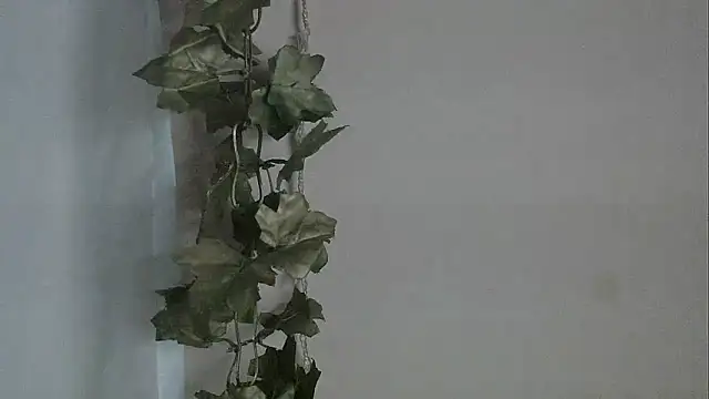 angelainparis28 online show from 12.02.25