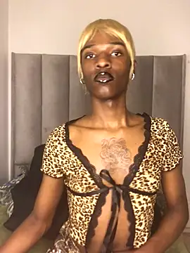 Trans fairy online show from 10.25.25