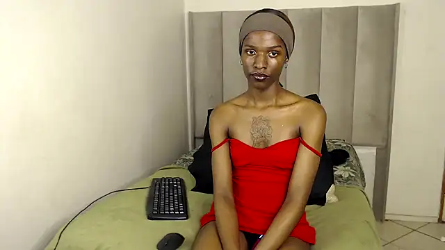 Trans fairy online show from 11.27.25